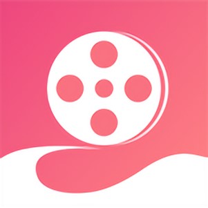 VLOG�׼����ٷ���