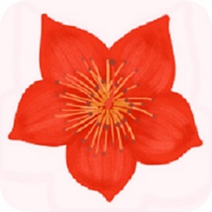 ���ҳ���