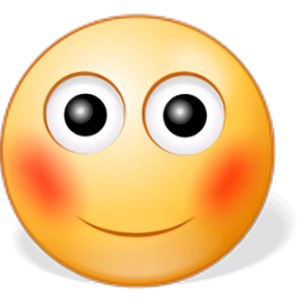 minifly���������