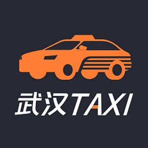 人TAXI˾°