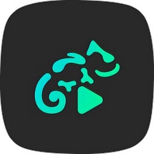 stellio player�߼���