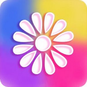 ������ֽ����