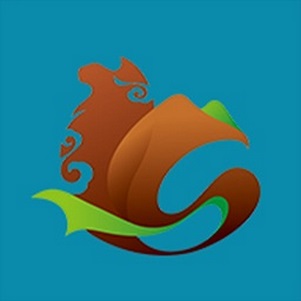 ����������app���°�