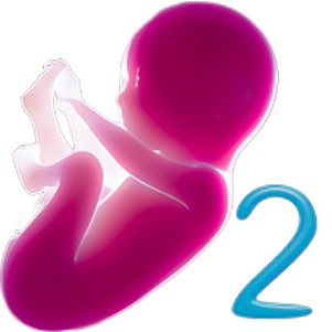 Ӥ��ģ����2��Ѱ�