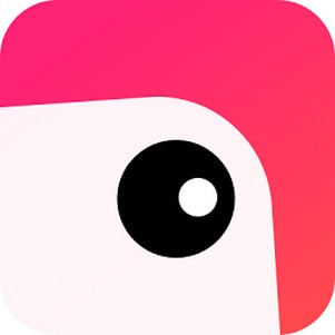 ptu����ٷ���