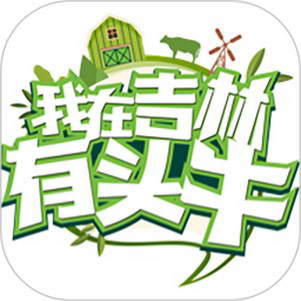 ���ڼ�����ͷţ