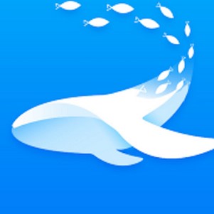 ��Ⱥ�ĵ��ٷ���