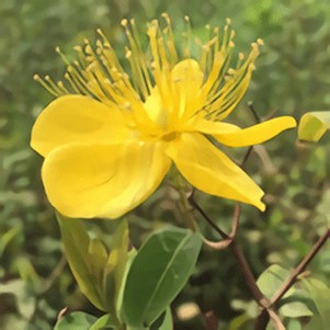 ���������ٷ���