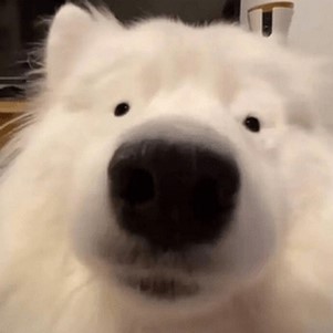 �ҵ����纣��������ģ��