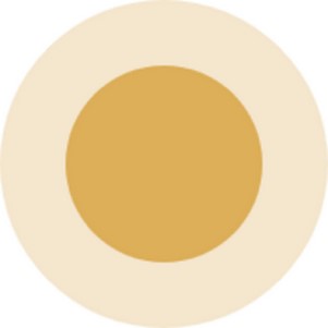 ���۵����