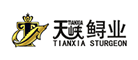 ��ϿTIANXIA