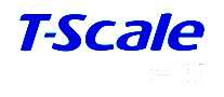 _T Scale