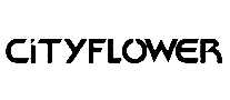 CITYFLOWER㾫