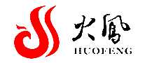 ţ