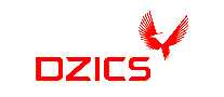 DZICS