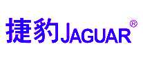 ݱՉC(j)Jaguar