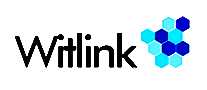 Witlink