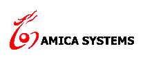 AMICA SYSTEMS