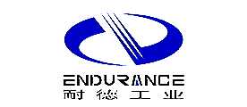 ͵¹IENDURANCE