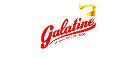 GalatineјV