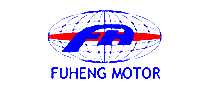 FUHENG MOTOR