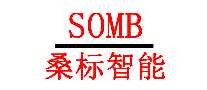 ɣSOMB