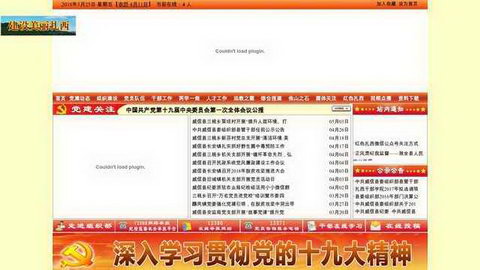 ��ɫ����