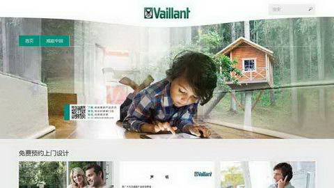 vaillant