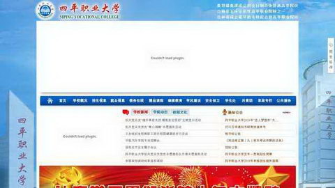 ��ƽ��ְҵ��ѧ